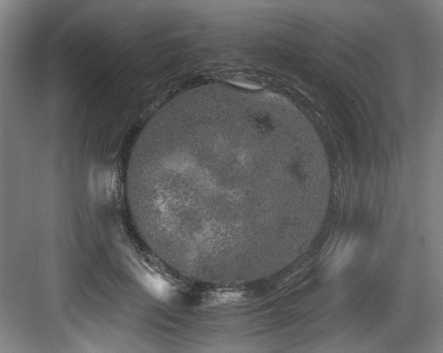 X0000084030651200702161436