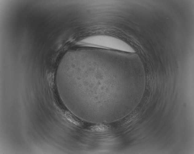 X0000084030652200702161436