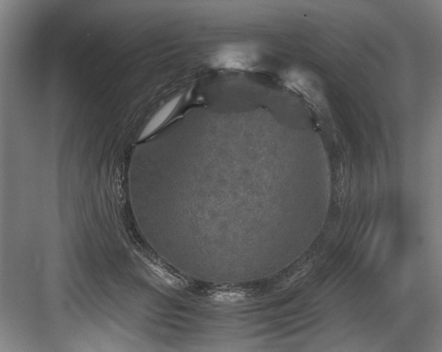 X0000084030653200702161436