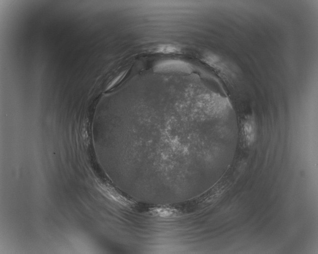 X0000084030654200702161436