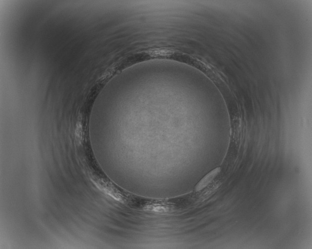 X0000084030655200702161436