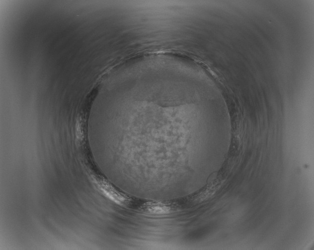 X0000084030658200702161436