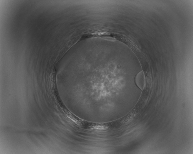 X0000084030659200702161436