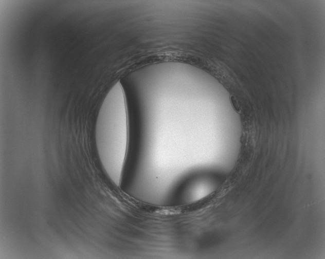 X0000084030660200702161436