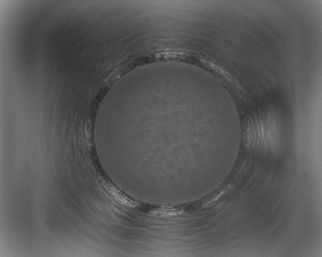 X0000084030661200702161436