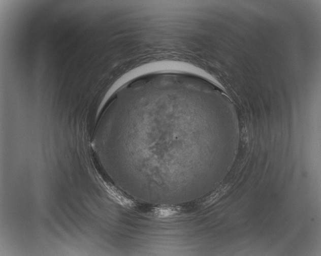 X0000084030662200702161436