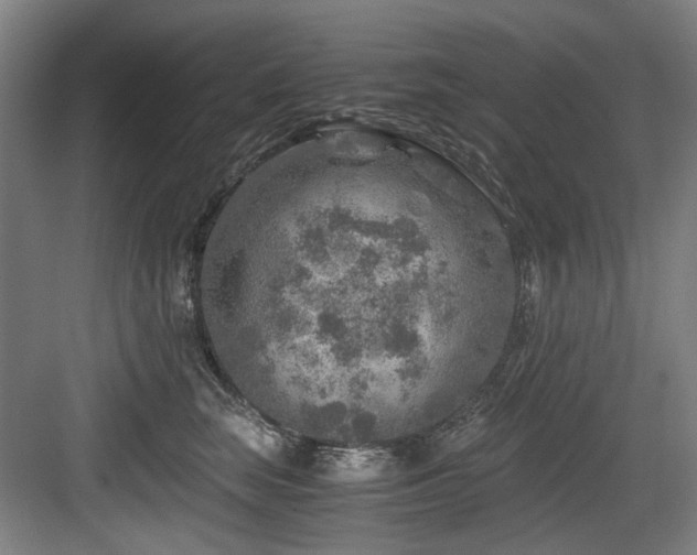 X0000084030663200702161436