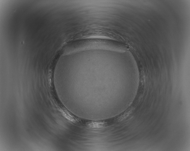 X0000084030664200702161436