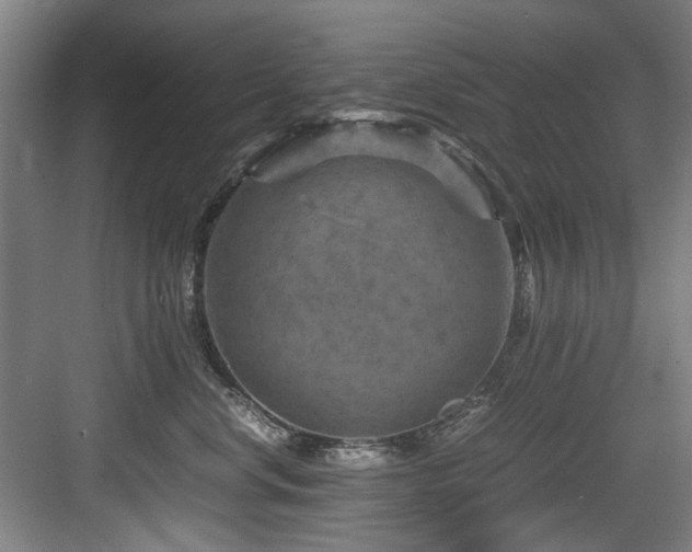 X0000084030668200702161436