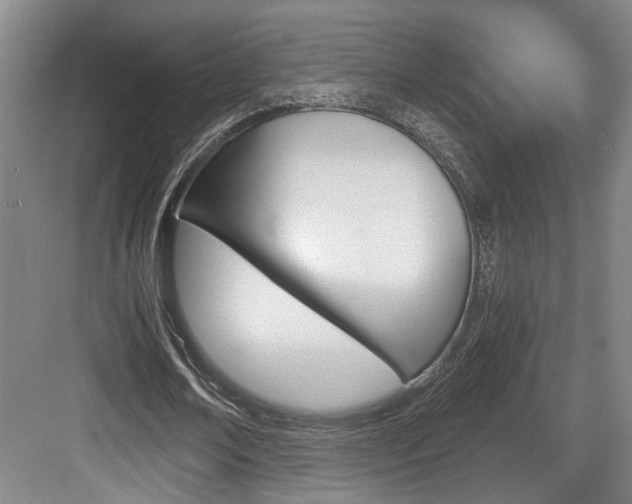 X0000084030674200702161435