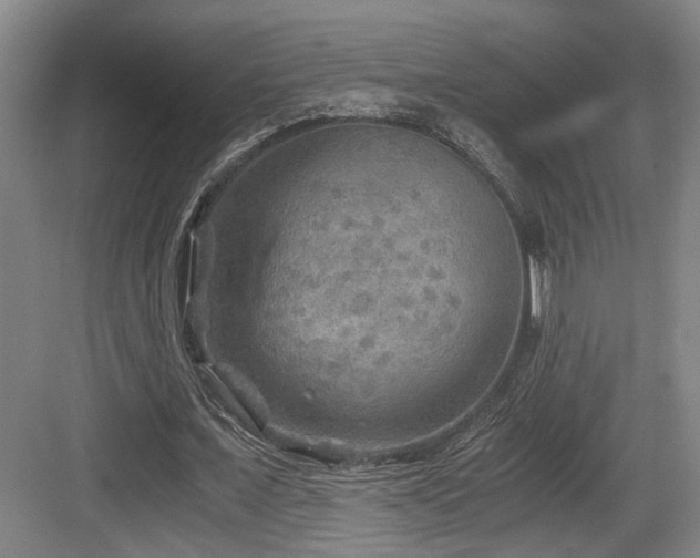 X0000084030675200702161435