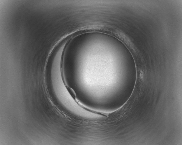 X0000084030676200702161435