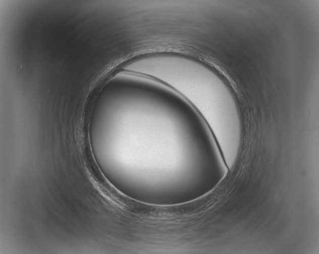 X0000084030677200702161435