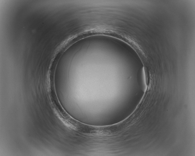 X0000084030678200702161435