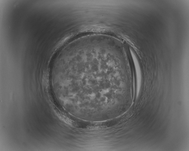 X0000084030679200702161435