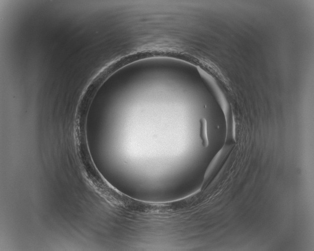 X0000084030680200702161435