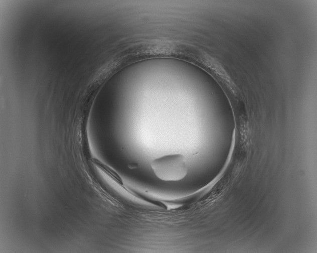 X0000084030681200702161435