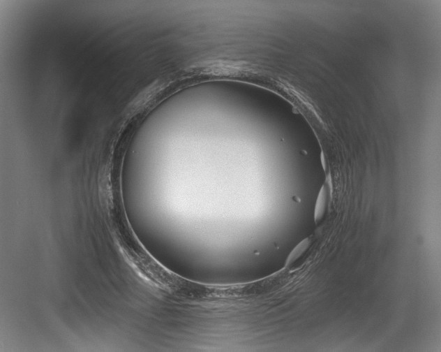 X0000084030682200702161435