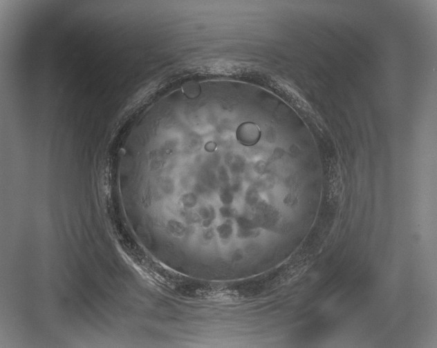 X0000084030683200702161435