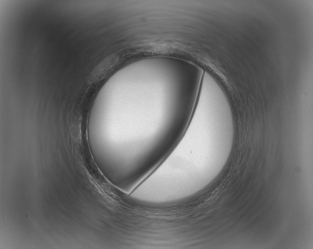 X0000084030685200702161435