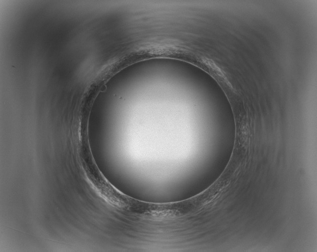 X0000084030686200702161435