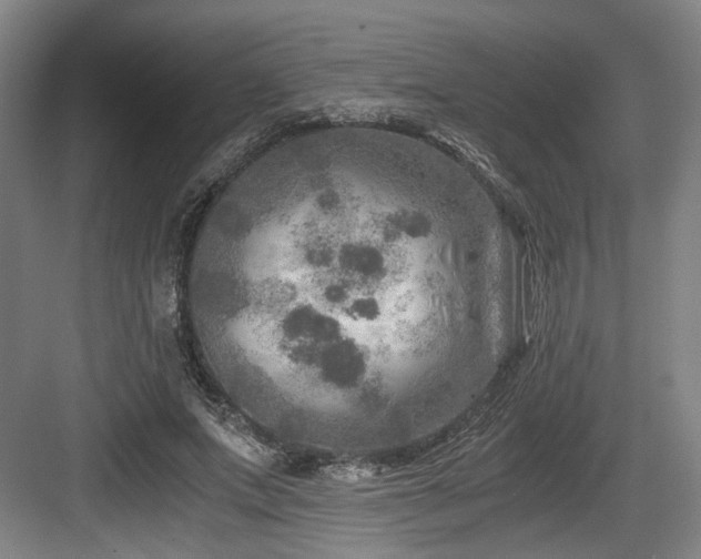 X0000084030687200702161435