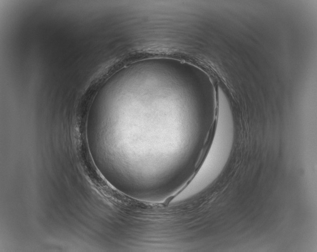 X0000084030688200702161435