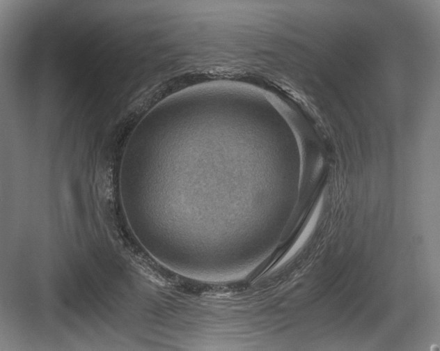 X0000084030689200702161435