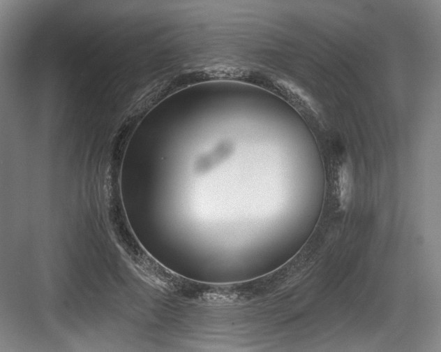 X0000084030690200702161435