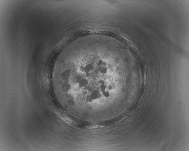 X0000084030691200702161435