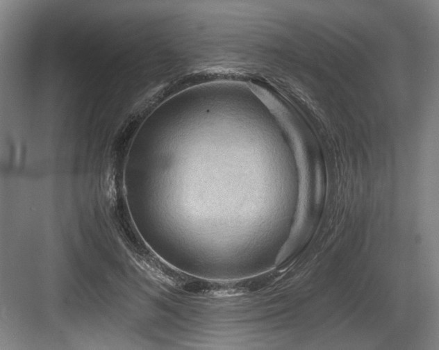 X0000084030692200702161435