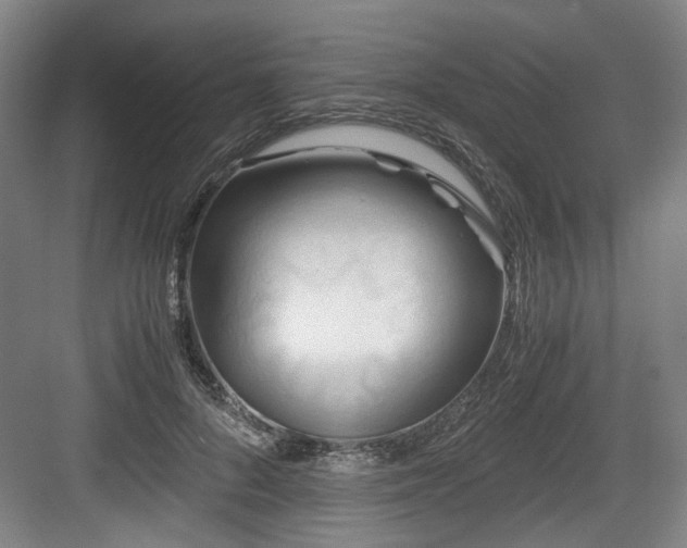 X0000084030696200702161435