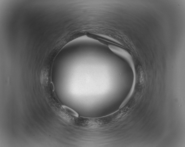 X0000084030697200702161435