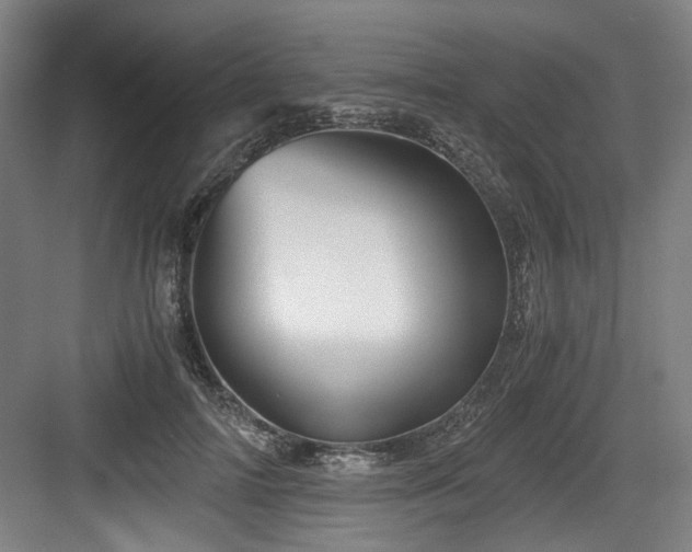 X0000084030698200702161435