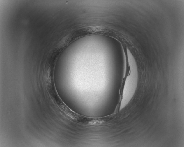 X0000084030700200702161435