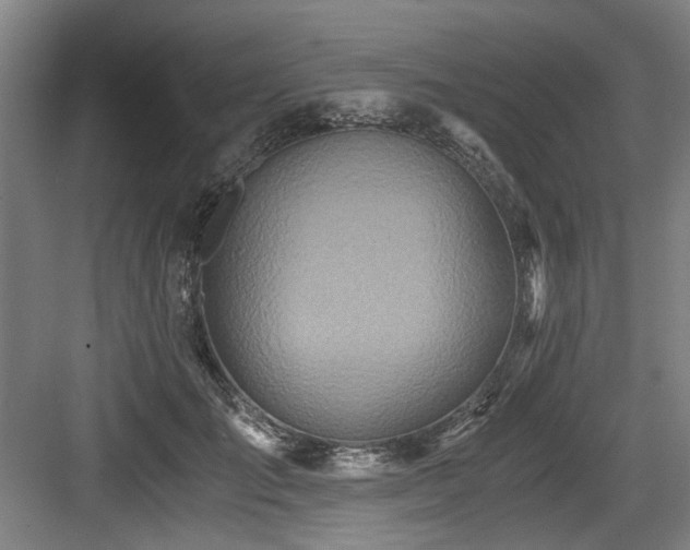 X0000084030701200702161435