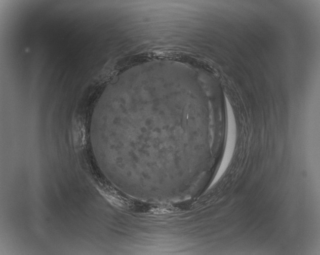 X0000084030703200702161435