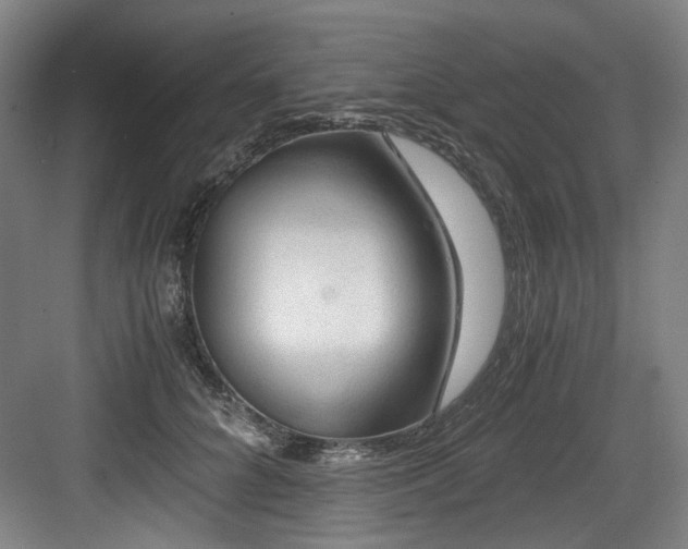 X0000084030704200702161435