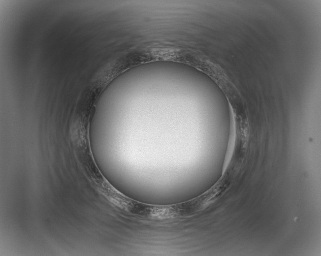 X0000084030705200702161435