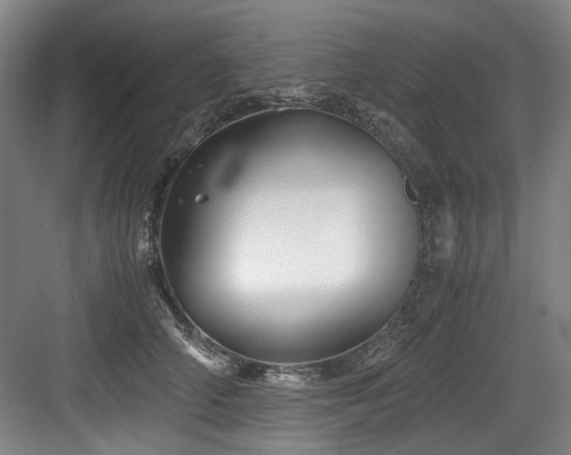 X0000084030706200702161435