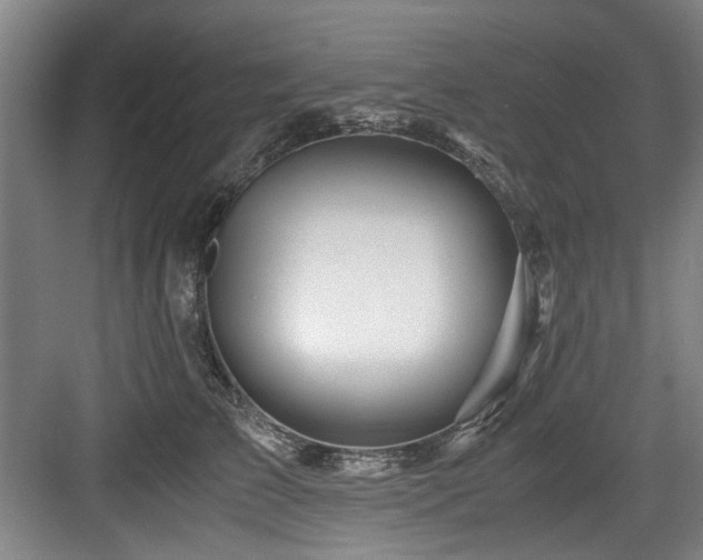 X0000084030709200702161435