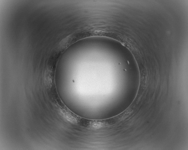 X0000084030710200702161435