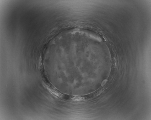 X0000084030711200702161435