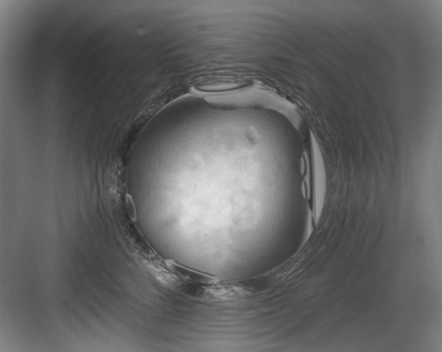 X0000084030712200702161435