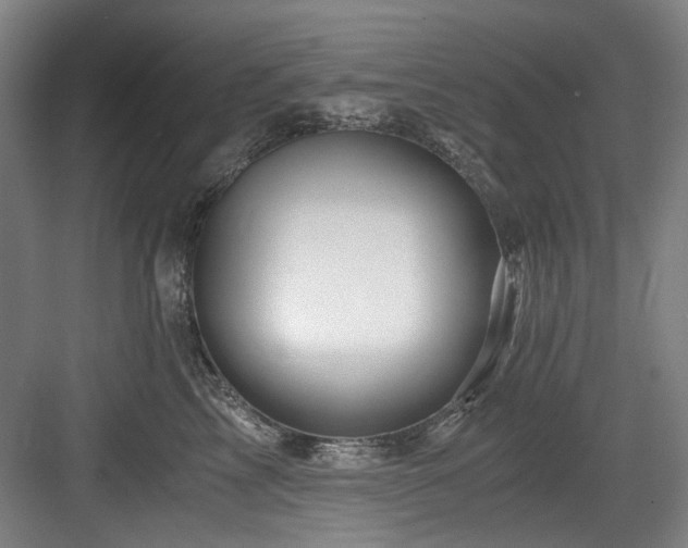 X0000084030713200702161434