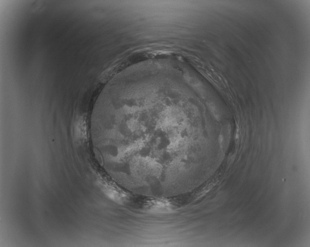 X0000084030715200702161434