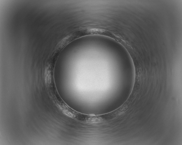 X0000084030716200702161434