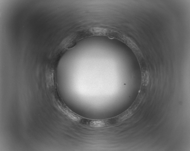 X0000084030717200702161434