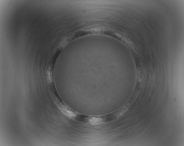 X0000084030718200702161434