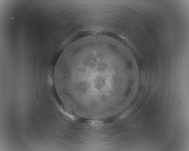 X0000084030719200702161434